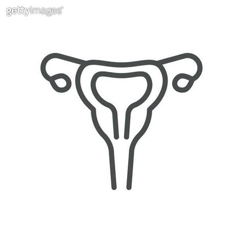 Female Reproductive System Icon Simple Line Illustration Of Human Female Reproductive System