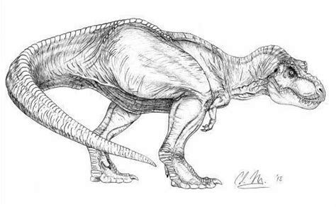 Pin By Evelyn On Guardado R Pido Dinosaur Drawing Sketches Dinosaur