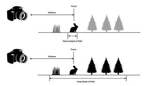 Depth Of Field Illustration