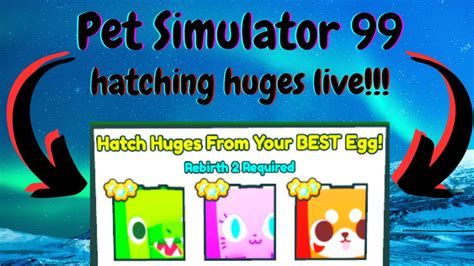 Pet Simulator Afk Hatching Youtube