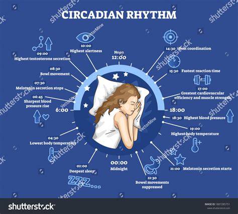 Circadian Rhythm Women On Sale Jkuatacke