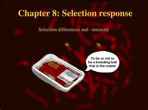 Ppt Chapter 8 Selection Response Powerpoint Presentation Free