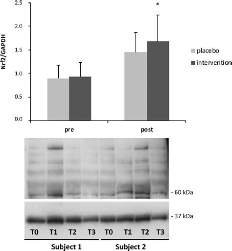 Upper Panel Graph Showing The Levels Of Nrf Protein In Pbmncs Data