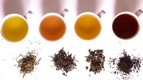 Descubriendo las sutiles diferencias entre el té oolong y el té negro