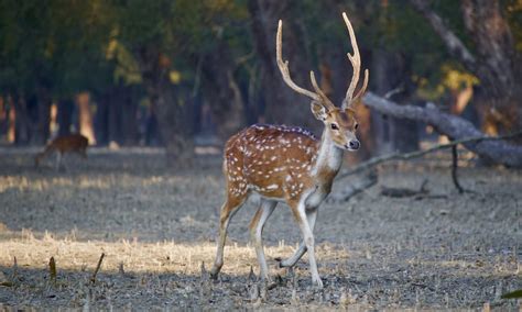 10 Popular Places to Visit in Birbhum, West Bengal - Swarnab Dutta