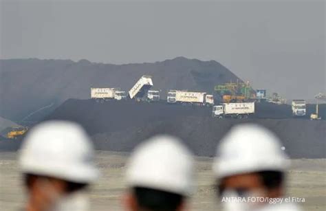 Bukit Asam (PTBA) Records an Increase in Coal Exports in the First ...