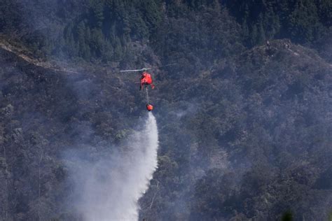 Emergencia 31 Incendios Forestales En 9 Departamentos De Colombia