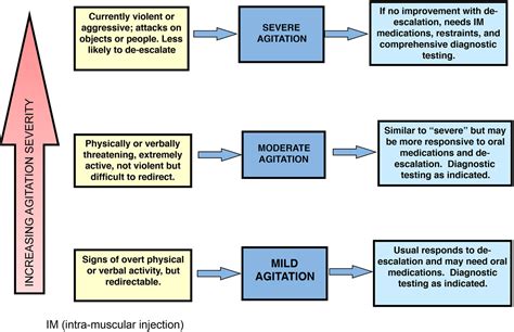 Agitated Elderly Patient