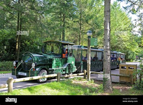 Land Train Center Parcs Longleat Forest Warminster Wiltshire