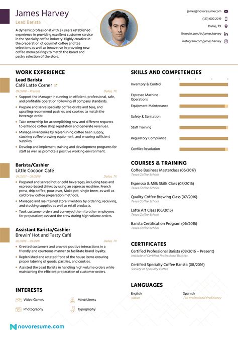 Curriculum Vitae In English Curriculum Vitae Examples Curriculum