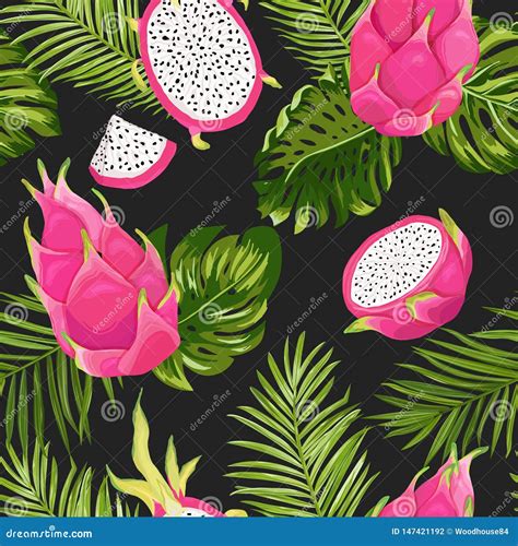 Watercolor Dragon Fruit Pitaya Royalty Free Stock Photography