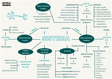 Mapa Mental Sistema Nervoso Mapa Mental Sistema Nervoso Mapa Images