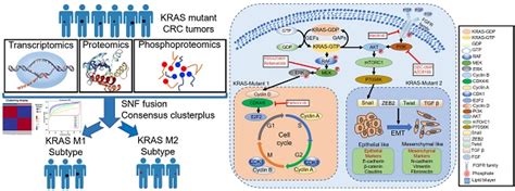 Integrated Multi Omics Characterization Of Kras Mutant Colorectal Cancer