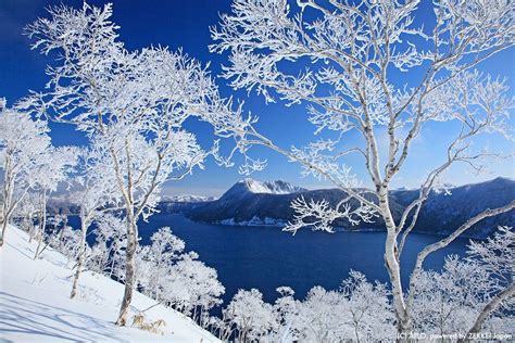 Lake Mashu Hokkaido White【2019】 北海道 雪、摩周湖、樹氷