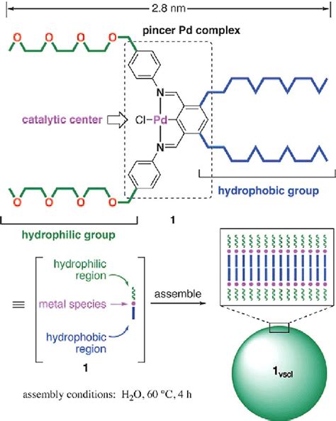 Molecular structure and self-assembly of the Pd-pincer amphiphile used ...