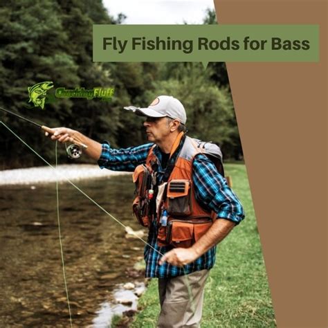 Best Fly Fishing Rods For Bass Buyers Guide 2022