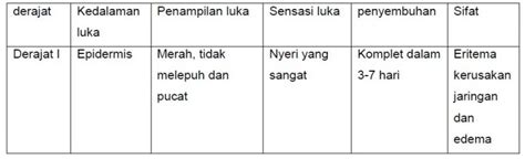 Derajat Dan Penggolongan Berat Ringan Luka Bakar Doteduid