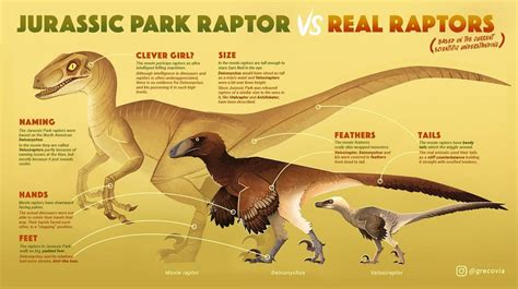 Triceratops Vs Ankylosaurus By Seal Animations Rdinosaurs