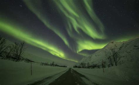 Tromsø: Northern Lights Van Tour | GetYourGuide