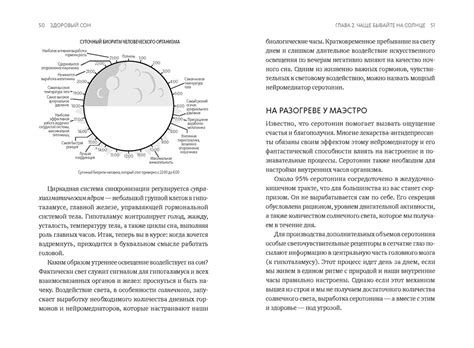Здоровый сон - купить книгу с доставкой из Польши по всему миру ...