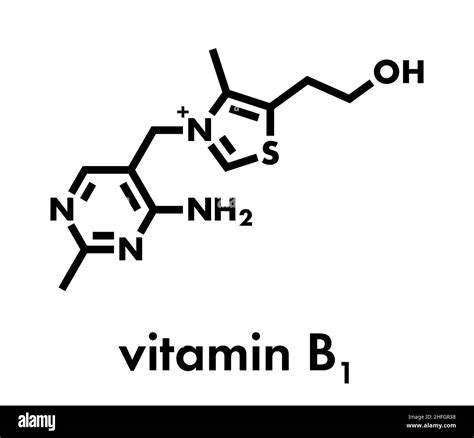 Vitamin B1 Thiamine Molecule Skeletal Formula Stock Vector Image