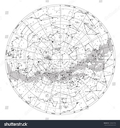 High Detailed Sky Map Southern Hemisphere Stock Vector Royalty Free