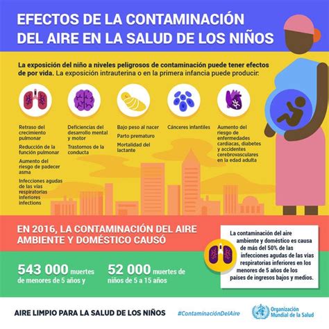 Infografía Efectos De La Contaminación Del Aire En La Salud De Los