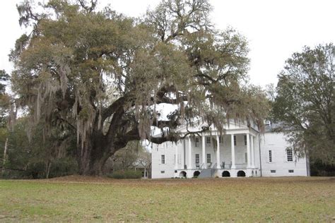 Hampton Plantation State Historic Site - SC Nature Adventures