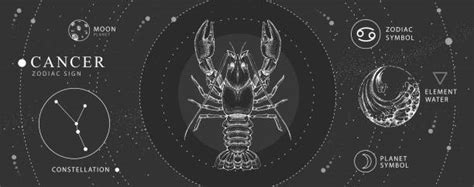 Cancer Zodiac Tattoos Drawing Illustrations Royalty Free Vector