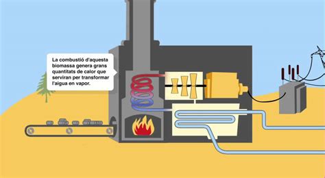 Funciona Una Central De Biomassa Youtube
