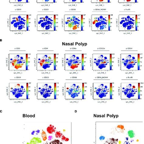 Immune Cell Markers In Human Bronchoalveolar Lavage Fluid Balf Of Download Scientific Diagram