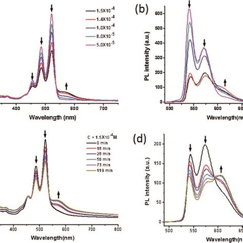 A Concentration Dependent Uv Vis Absorption Spectra And B