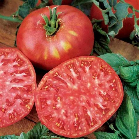 Tomato Brandywine Pink Heritage Seed