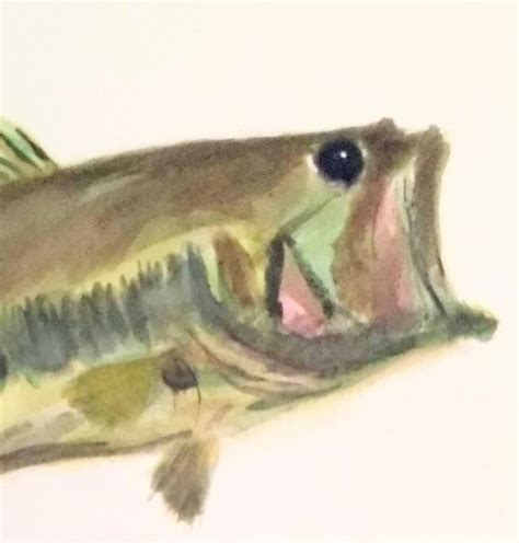 Largemouth Bass Watercolor Fishing Painting Bass Fishing Art