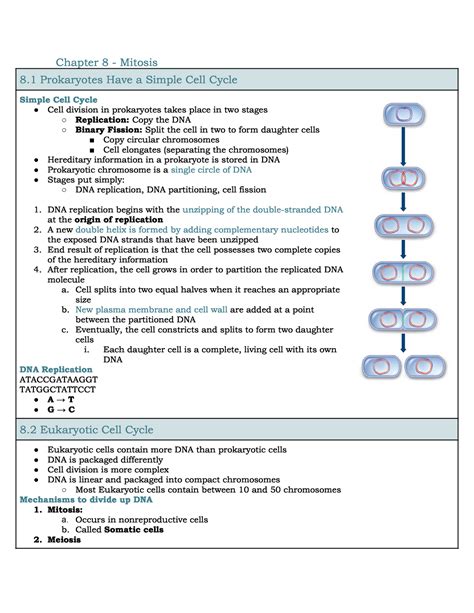 Chapter 8 Mitosis BIOL 100 Chapter 8 Mitosis 8 Prokaryotes Have