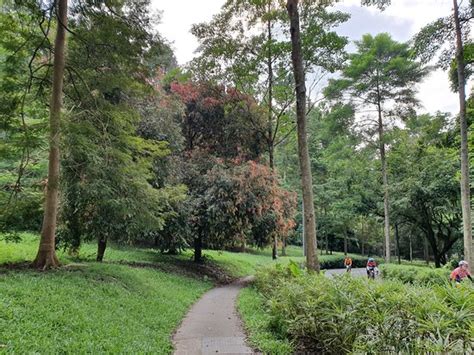 Telok Blangah Hill Park Singapore 2021 All You Need To Know BEFORE