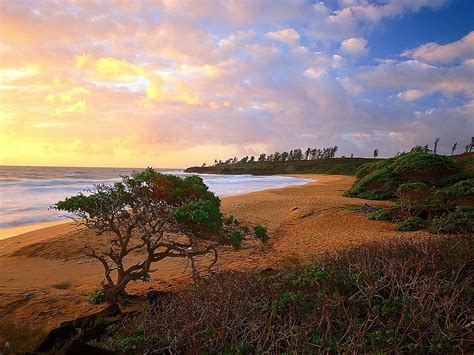 Playas Burro Hawaii Kauai Fondo De Pantalla Hd Wallpaperbetter