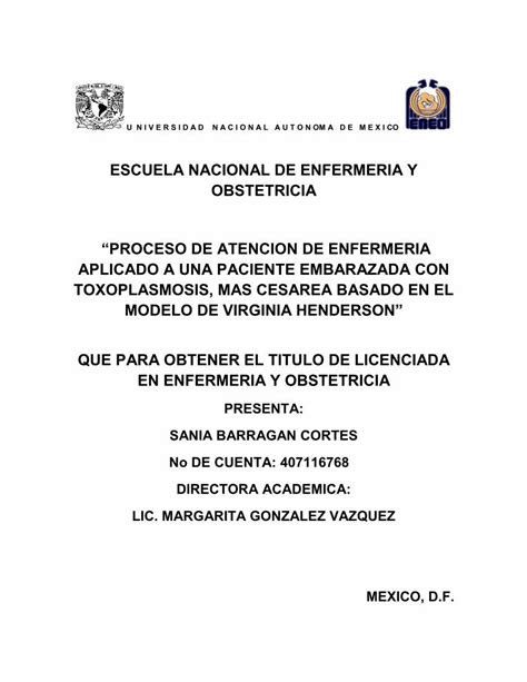 Pdf Escuela Nacional De Enfermeria Y Obstetricia Proceso De