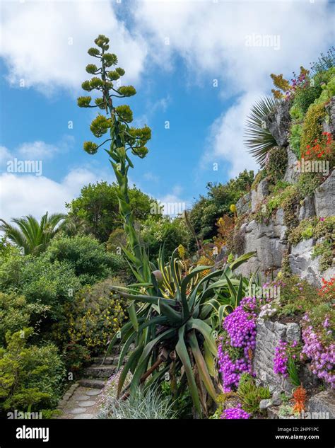 St Michael's Mount, Cornwall Stock Photo - Alamy