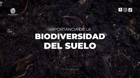 Importancia De La Biodiversidad Del Suelo Quattrading Services Youtube