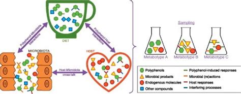 International Conference On Molecular Biology And Stem Cells