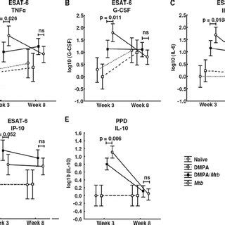 DMPA Alters Lymphocytic Infiltration In Lungs Of M Tuberculosis