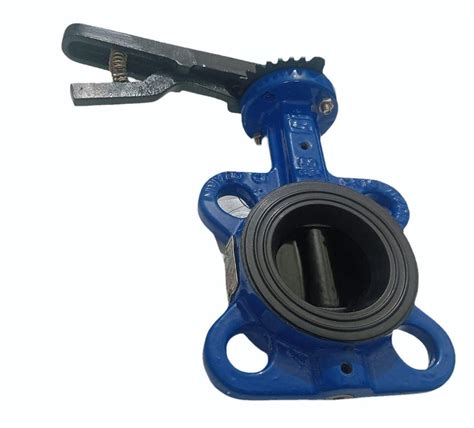 Cast Iron Butterfly Valve At Rs Ci Butterfly Valve In Kolkata