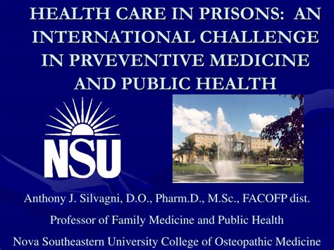 PPT HEALTH CARE IN PRISONS AN INTERNATIONAL CHALLENGE IN PRVEVENTIVE