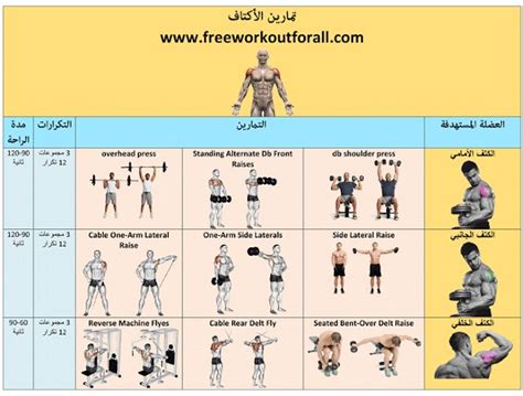 جدول تمارين كمال الاجسام 6 ايام لنحث العضلات Workout Plan Overhead