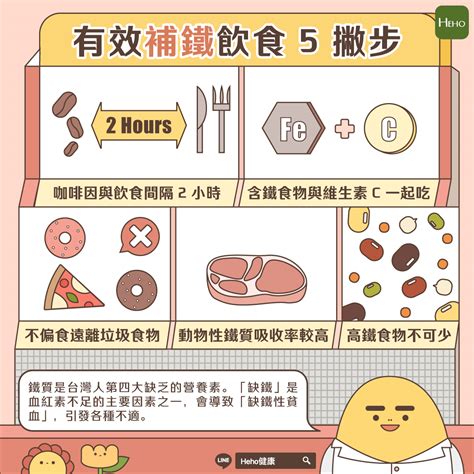 台灣人第四大缺乏的營養素：鐵質，如何從飲食去補鐵？ 營養n次方