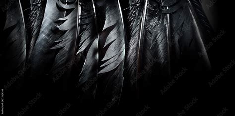 Raven Feathers Wallpaper