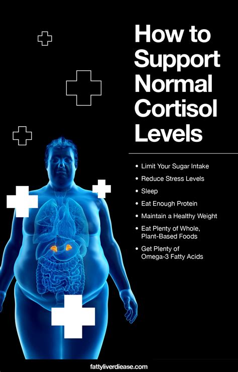 How To Achieve Normal Cortisol Levels Fatty Liver Disease