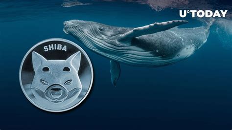 40 Billion Shiba Inu Scooped Up By Whales As Shibarium Sets Major New