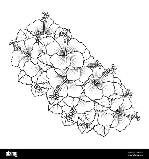 Rose Of Sharon Flower Coloring Page Illustration With Line Art Stroke